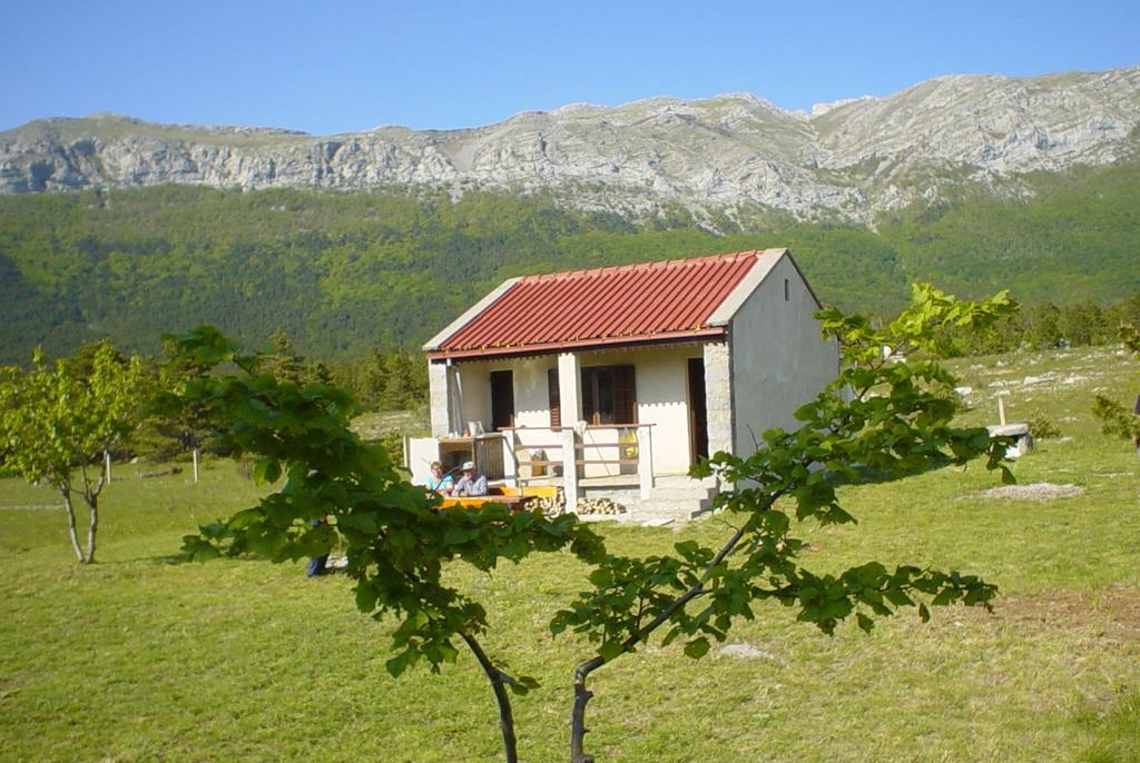 Apartments Europa Starigrad Paklenica Exterior photo